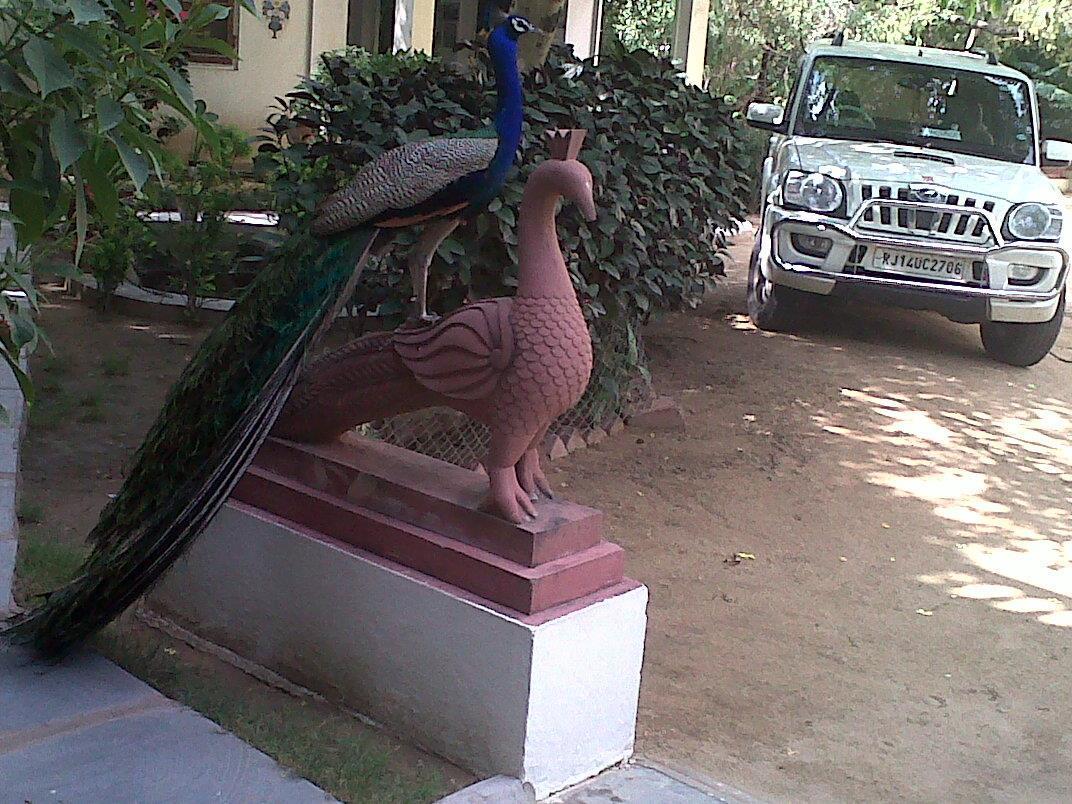 Shahar Palace Jaipur Eksteriør billede